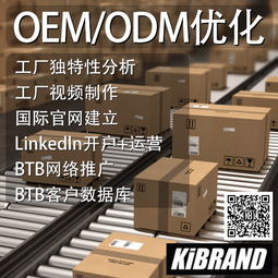 廣州番禺OBM合作收費(fèi)模式解析 電子商務(wù)視角