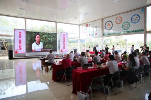 臨高荔枝香飄電商路 區(qū)域農(nóng)產(chǎn)品品牌推廣活動圓滿落幕