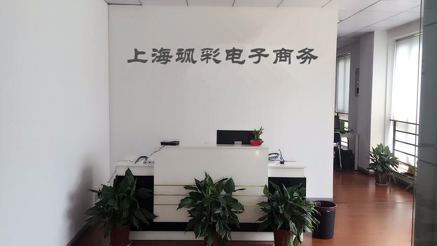 上海颯彩電子商務 引領數(shù)字商業(yè)新浪潮的創(chuàng)新力量